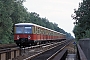 Dessau ? - DR "477 089-7"
25.08.1992
Berlin-Zehlendorf, Grunewald [D]
Ingmar Weidig