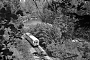 Esslingen 23384 - RAG "VT 04"
11.08.1982
Regental, Tunnel nahe Teisnach [D]
Christoph Beyer
