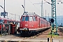 Fuchs ? - DB "456 101-5"
11.07.1985
Heidelberg, Bahnbetriebswerk [D]
Malte Werning