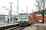 Stadler Pankow 37126 - PRESS "650 032-4"
31.01.2016 - Bergen (Rügen), Bahnhof
Peter Wegner