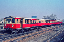 275 335-8. Foto: Dr. W. S&ouml;ffing